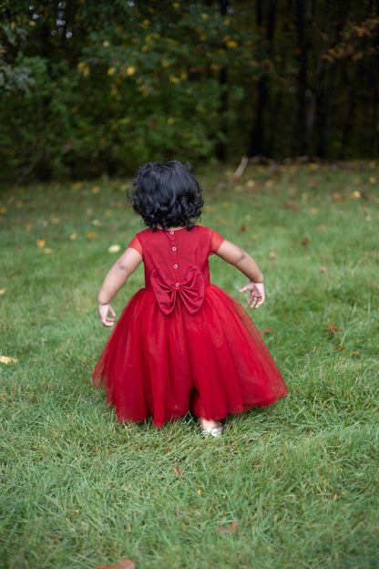 Floral Beadwork Maroon Tulle Dress