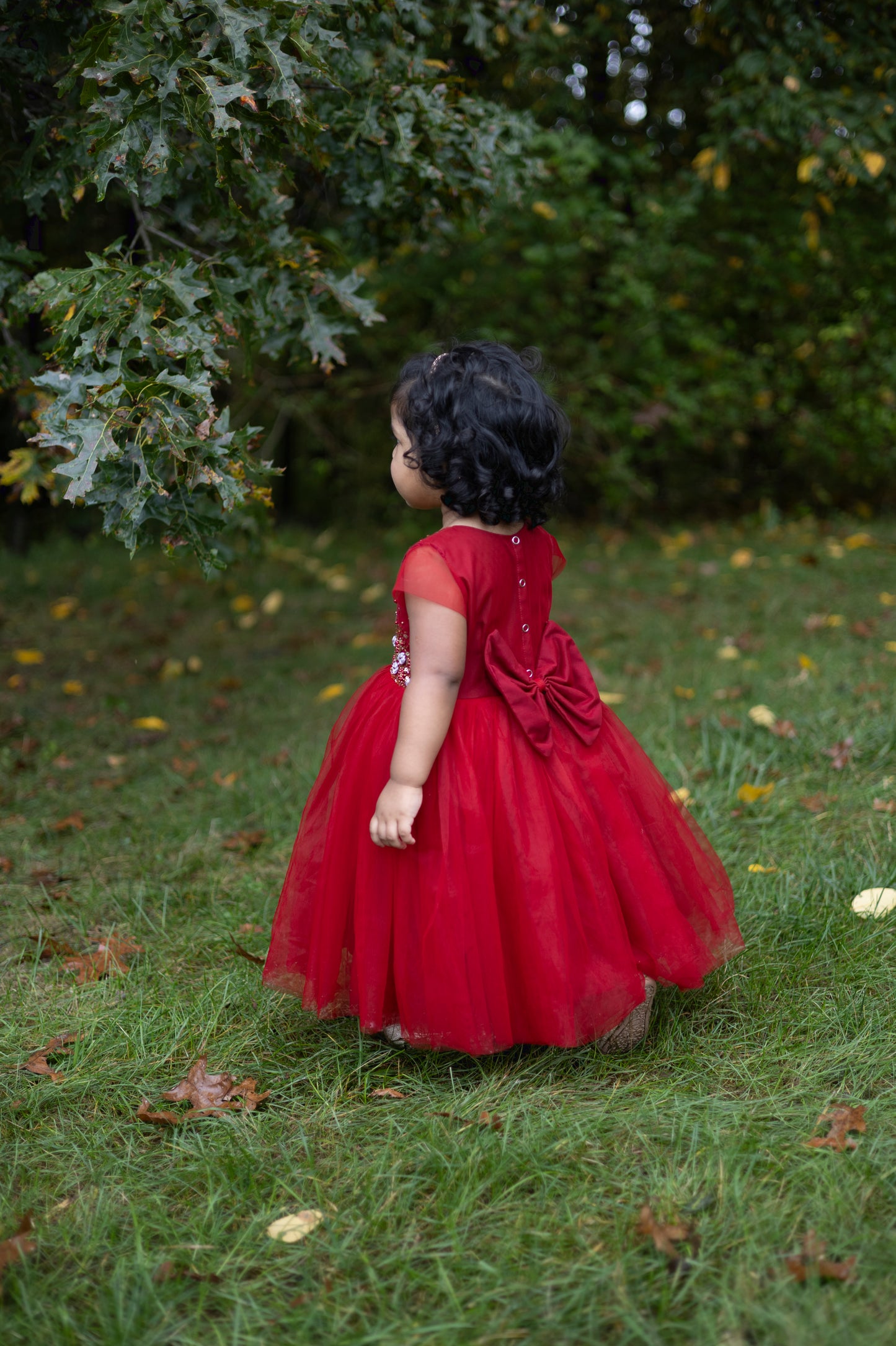 Floral Beadwork Maroon Tulle Dress