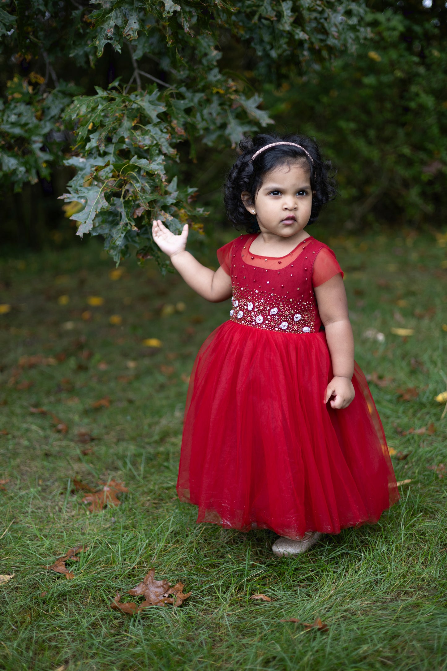 Floral Beadwork Maroon Tulle Dress