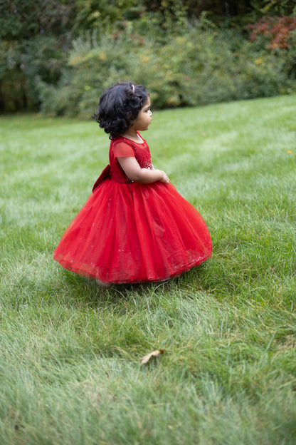 Floral Beadwork Maroon Tulle Dress