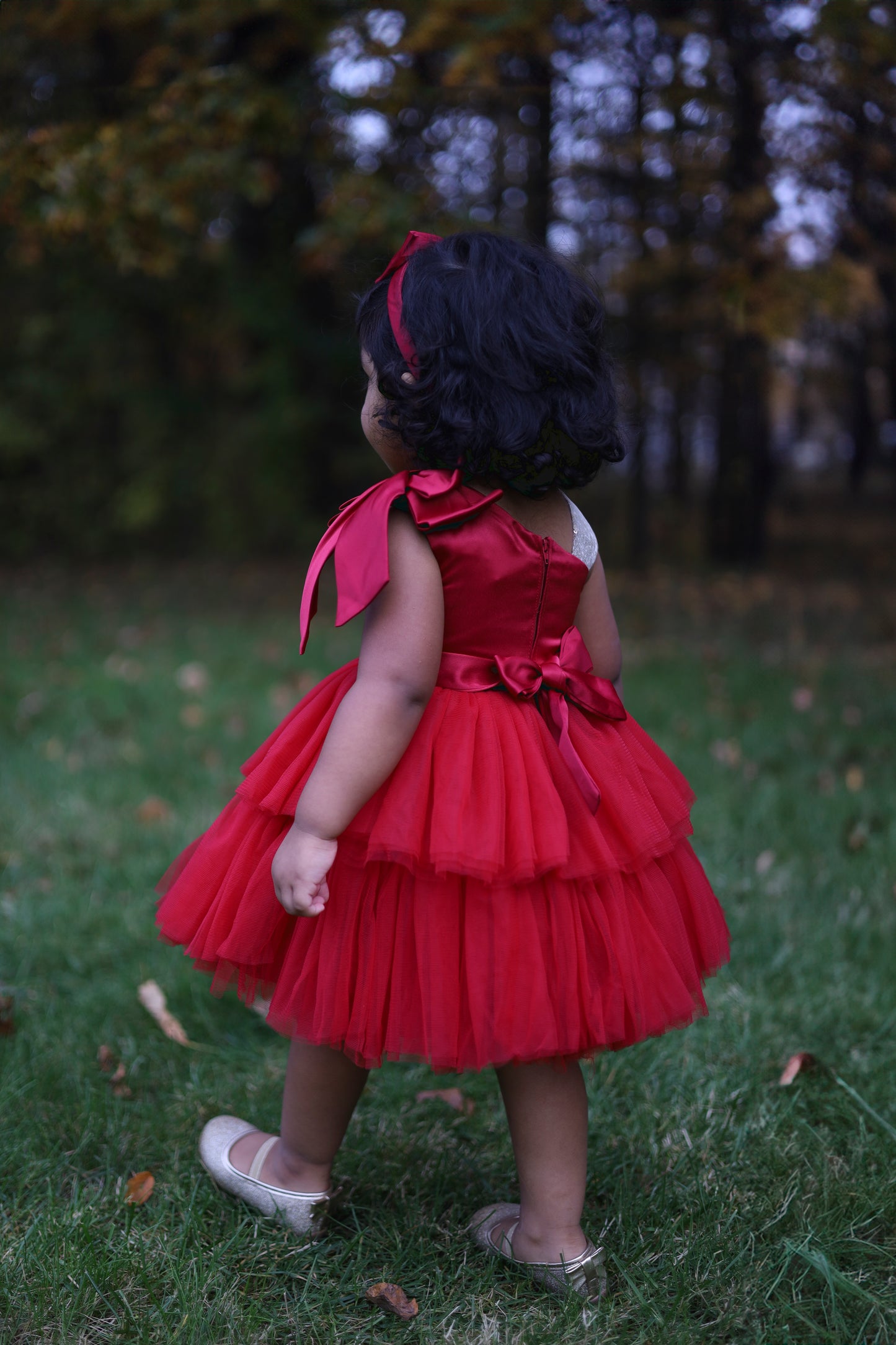 Maroon Neck Bow Tutu Dress