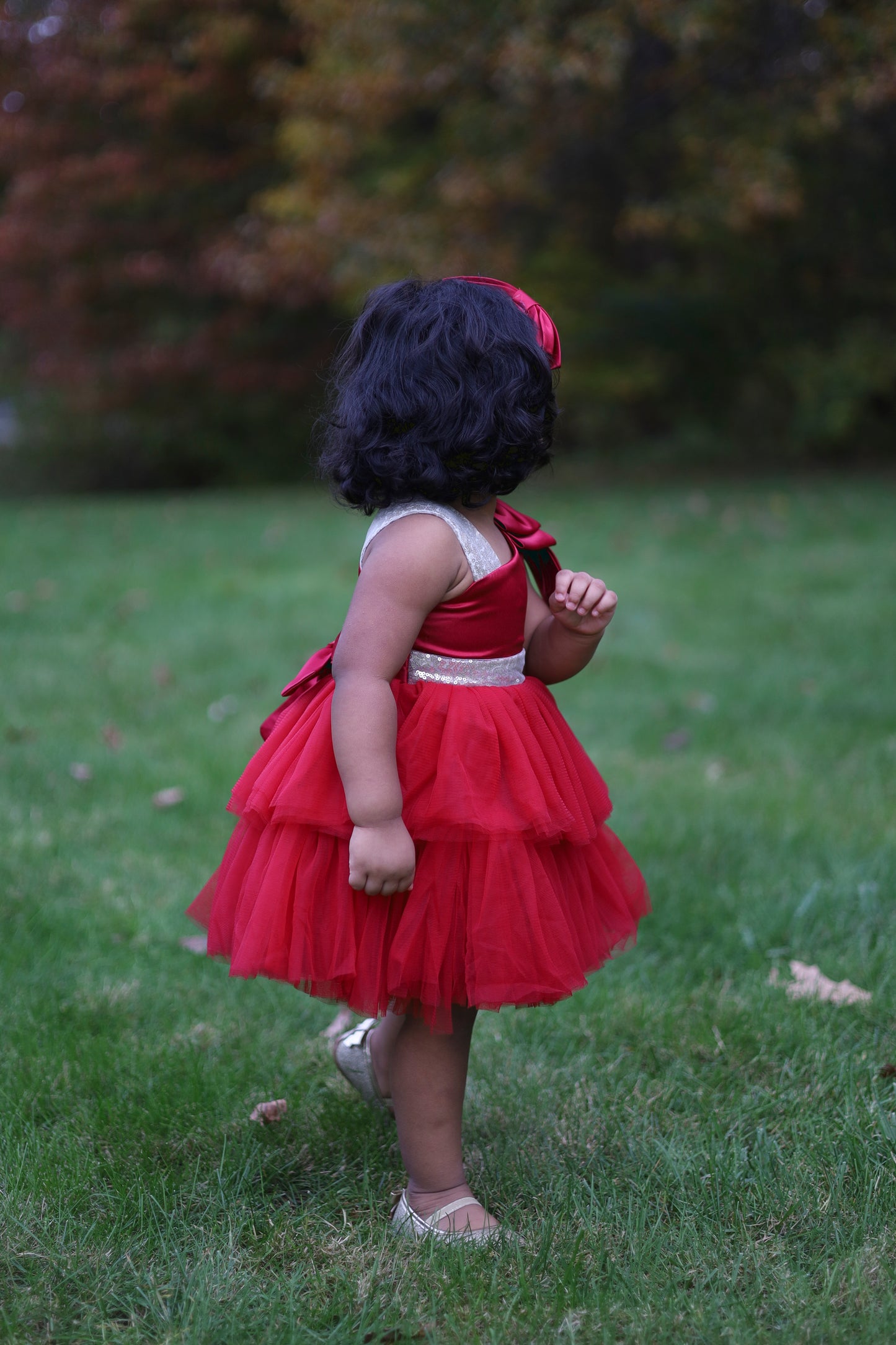 Maroon Neck Bow Tutu Dress