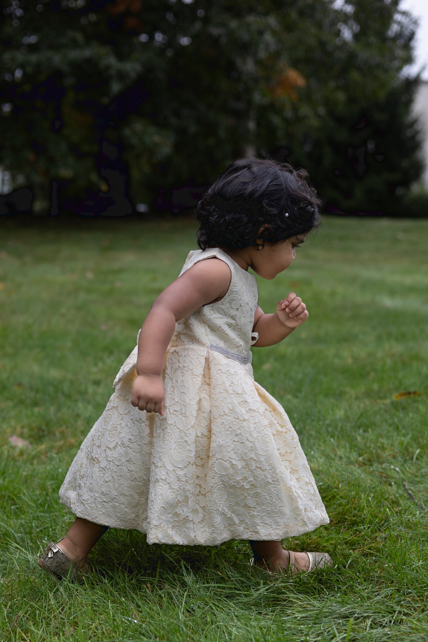 Ivory Lace Party Dress