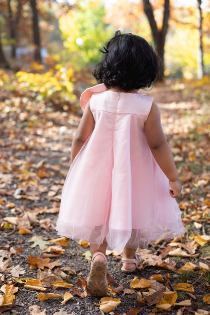 EnchantaBelle Pink Tulle Dress