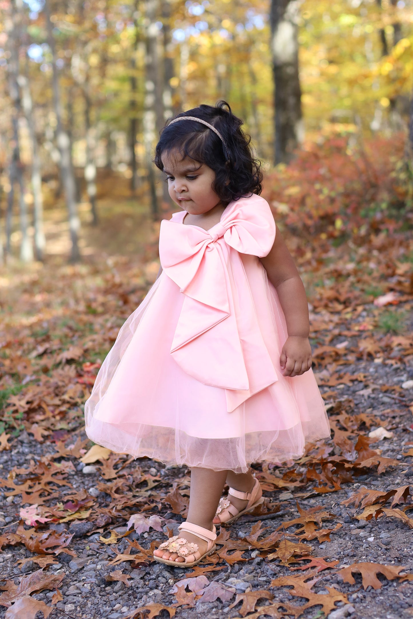 EnchantaBelle Pink Tulle Dress