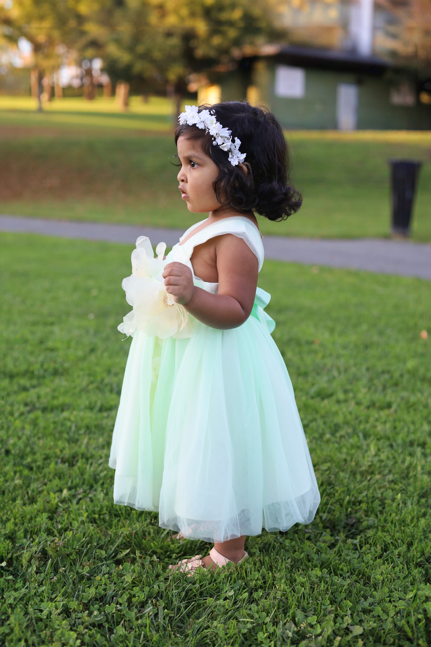 Tulle Flora Green Blossom Dress