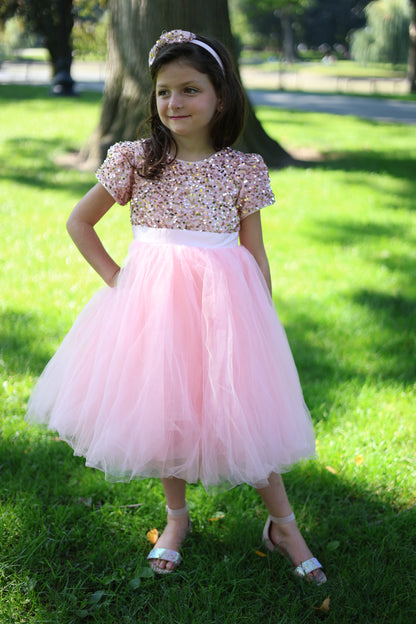 Enchante Pink Sequinvel Dress