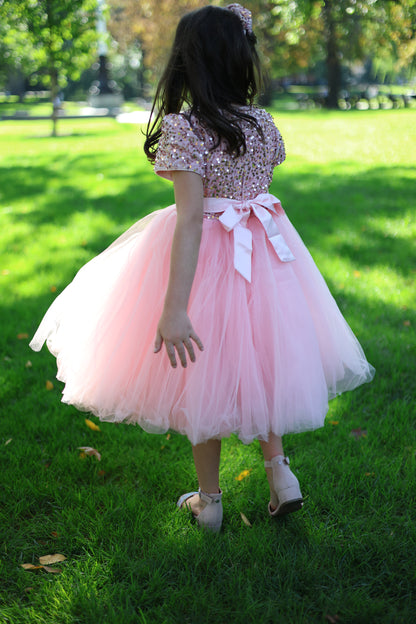 Enchante Pink Sequinvel Dress