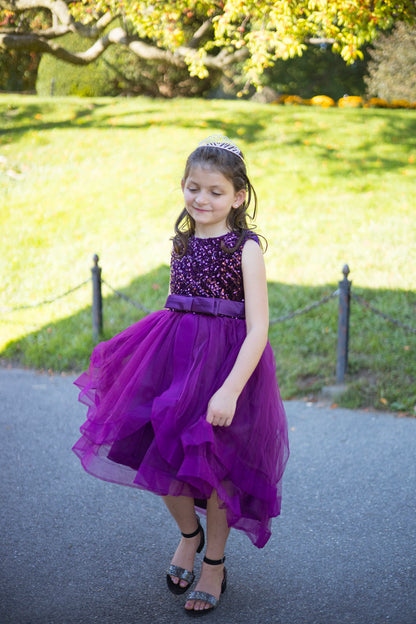 Dazzling Sparkles Sequin Purple Dress