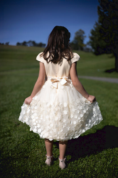 Enchanted Floral Tulle Ivory Dress