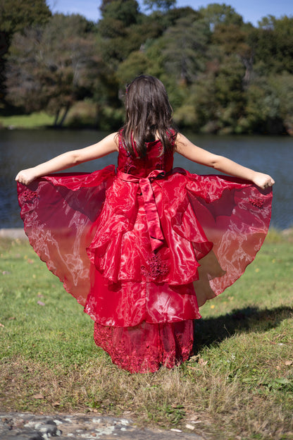 Twirly Layers Embroidered Maroon Princess Dress