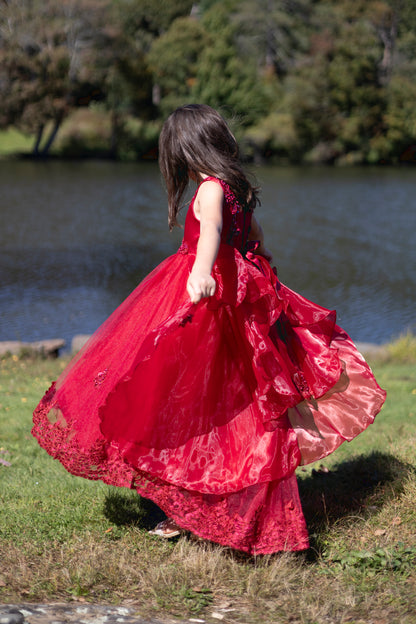 Twirly Layers Embroidered Maroon Princess Dress