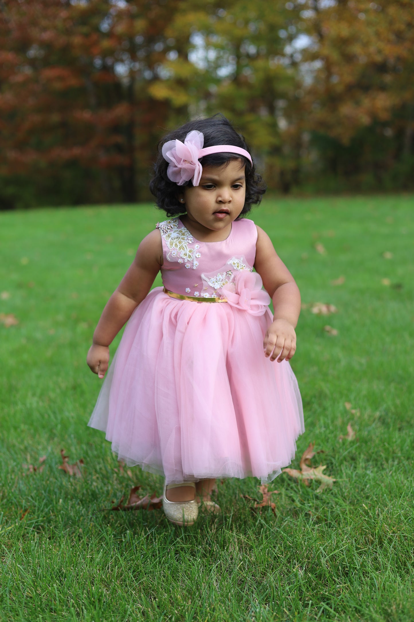 Pink Floral Embroidery Flower Sash Tutu Dress