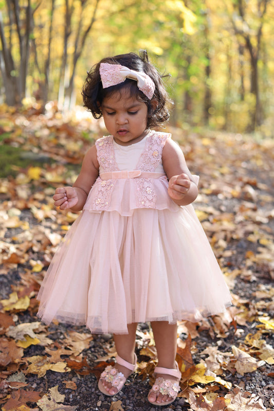 Flower Lace Embellished Pink Dress