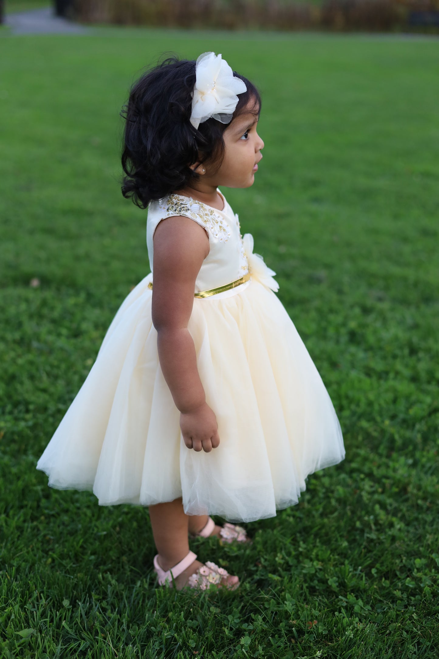 FairyBloom Ivory Princess Dress