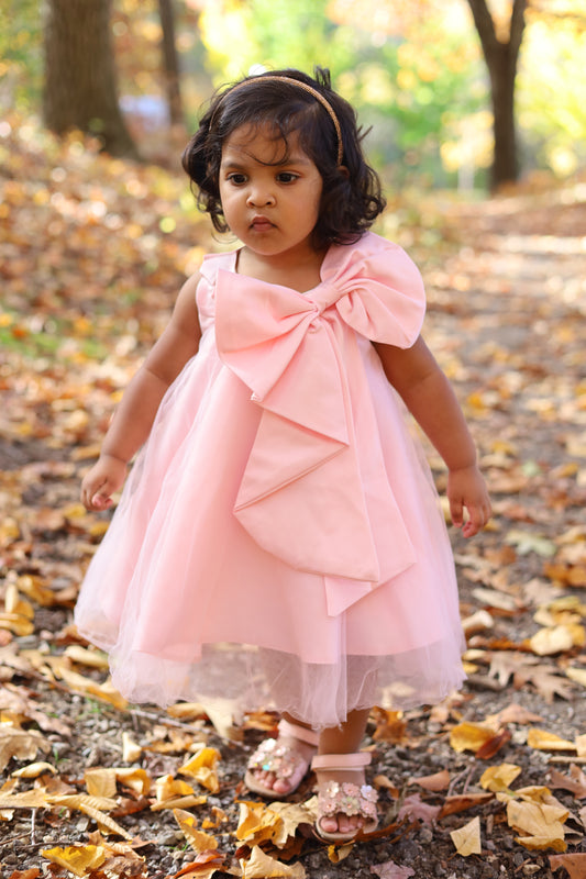 EnchantaBelle Pink Tulle Dress