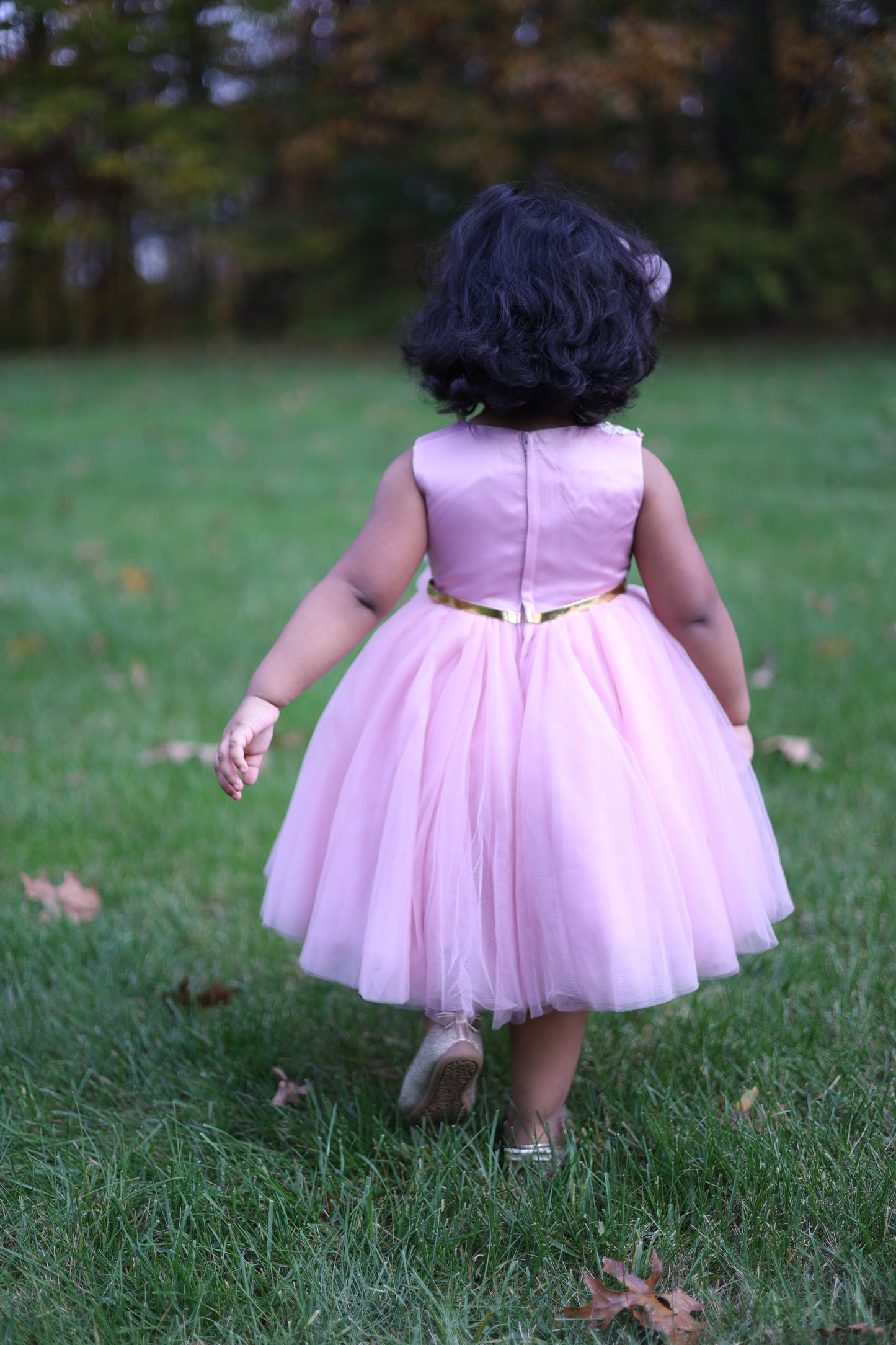 Pink Floral Embroidery Flower Sash Tutu Dress